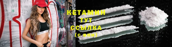тгк Новодвинск