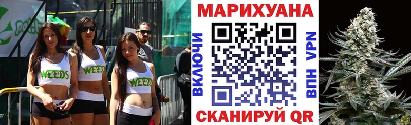 Купить закладки  Электрогорск  Бошки Шишки планчик 
